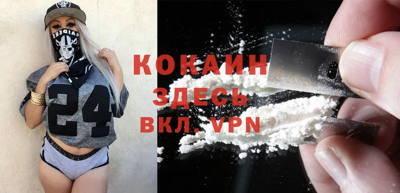 Cocaine Fish Scale  Дмитров 