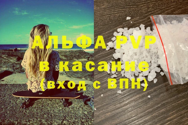 прущие грибы Мегион