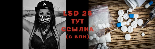 прущие грибы Мегион