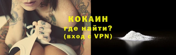 дживик Медвежьегорск