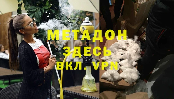 прущие грибы Мегион