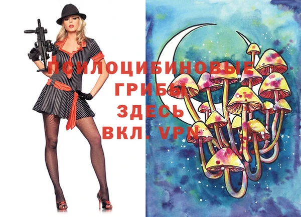 дживик Медногорск