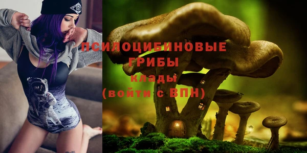 прущие грибы Мегион