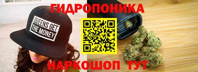 шишки Будённовск