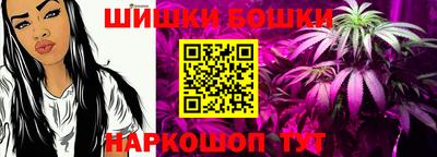 шишки Будённовск