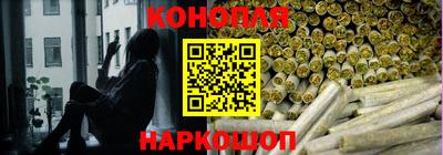 сатива Волжский
