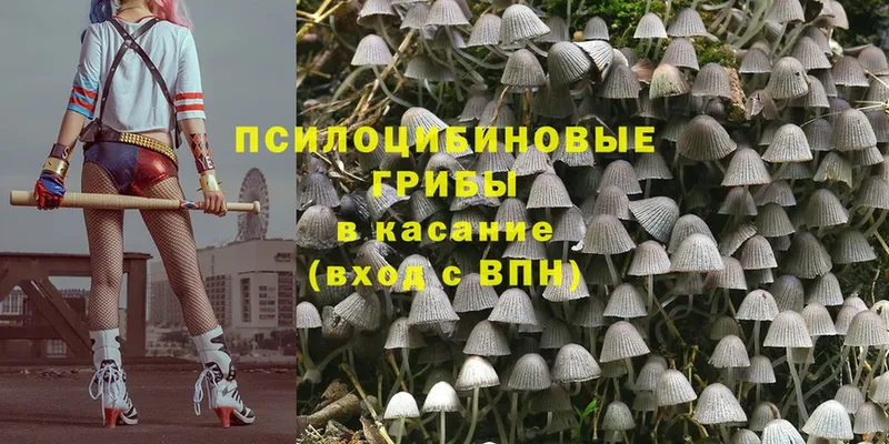 Галлюциногенные грибы MAGIC MUSHROOMS  цены   Дмитров 