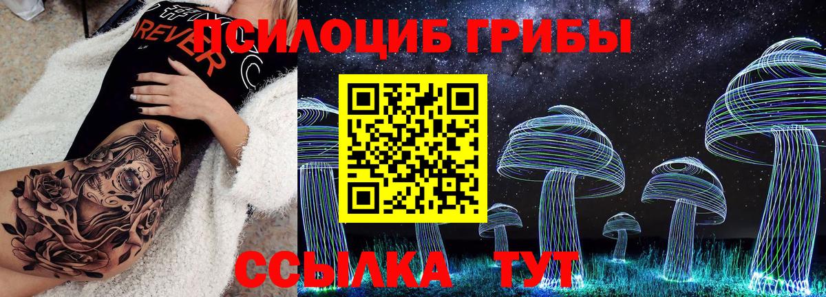 Галлюциногенные грибы Psilocybe  Псилоцибиновые грибы GOLDEN TEACHER  Дмитров 