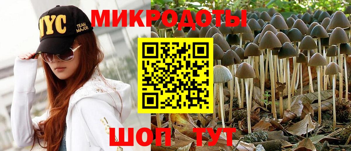 Псилоцибиновые грибы GOLDEN TEACHER Дмитров
