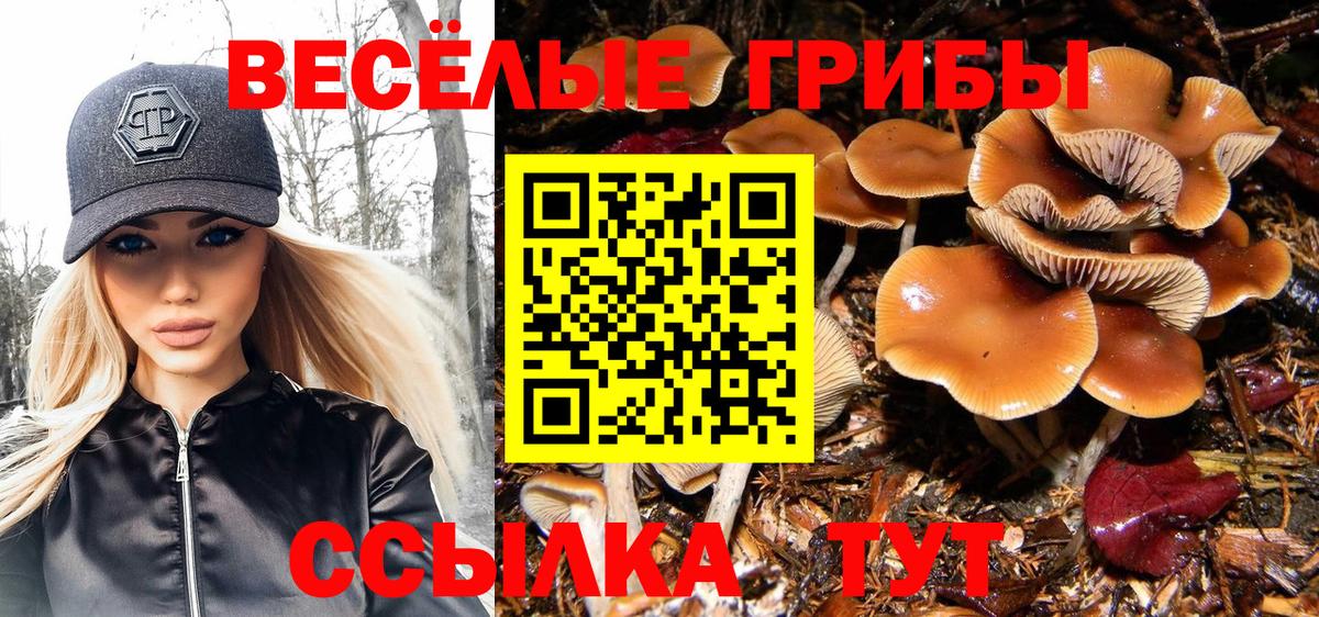 Псилоцибиновые грибы мицелий  Вход с VPN  Дмитров  Галлюциногенные грибы Magic Shrooms 