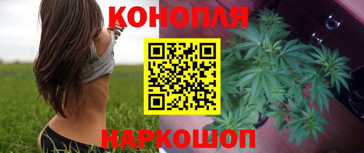 Бошки Шишки конопля  Канабис AK-47  Бошки Шишки ГИДРОПОН  Дмитров  МАРИХУАНА LSD WEED 