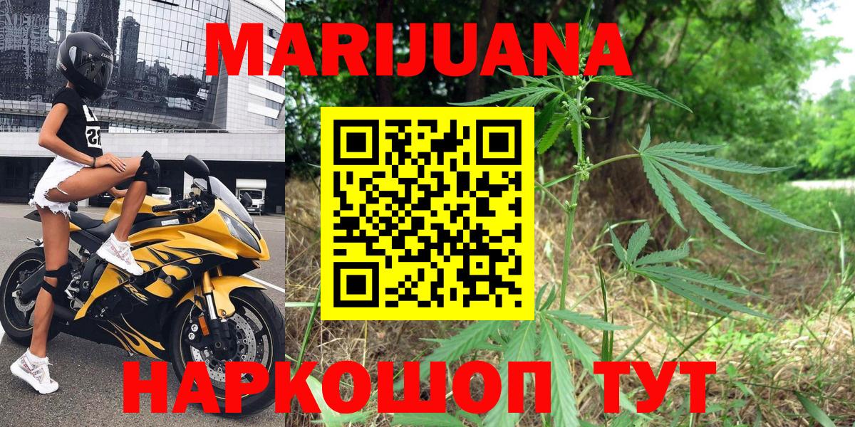 Канабис план Дмитров